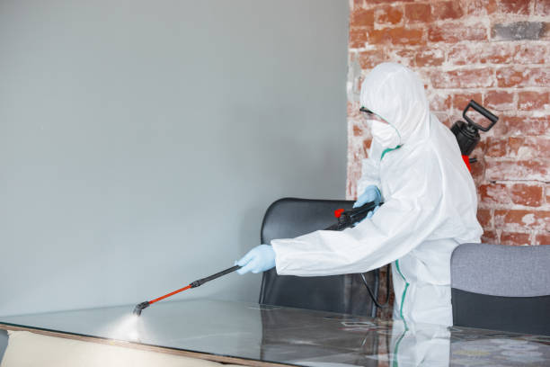 Mold Remediation for Rental Properties in New Berlin, IL